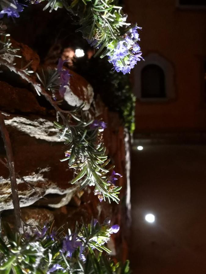 布多尼A Lu Ponti住宿加早餐旅馆 外观 照片